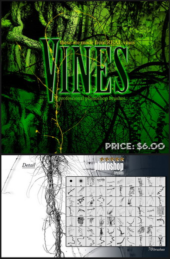 Rons&nbsp;公司出品的高清晰精美藤枝、藤蔓PS笔刷&nbsp;