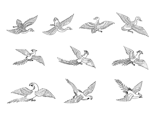 古典飞禽矢量素材