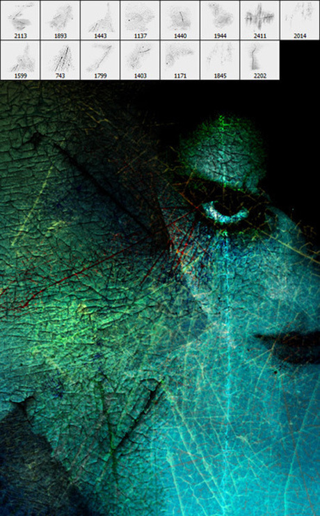 树叶纹理ps笔刷