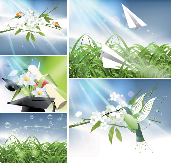 大自然光线与植物矢量素材