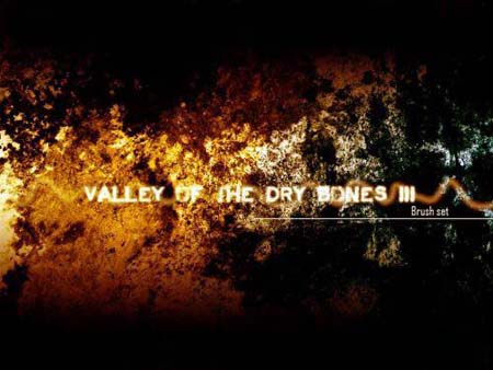 高清晰干涸的河谷质地PS笔刷