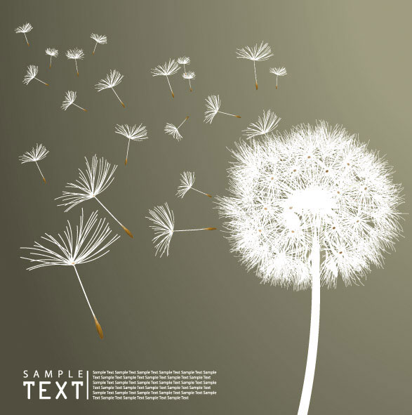蒲公英矢量素材-3