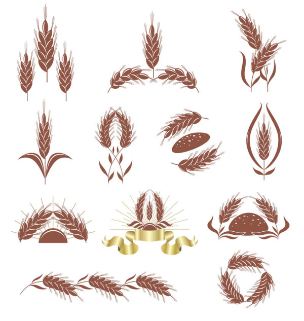 麦穗02&mdash;&mdash;矢量素材