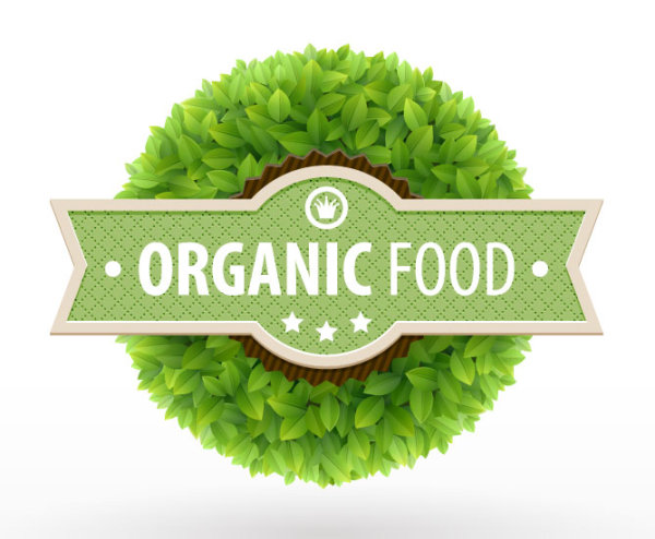 Creative green leaf shape stickers 04 - vector material