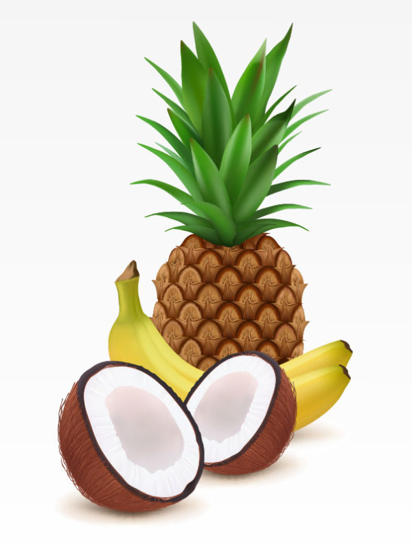 Fruit 05 - vector material