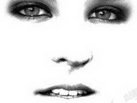 Reticulate-like a womans face vector material