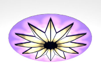 Fashion romantic ceiling lamps