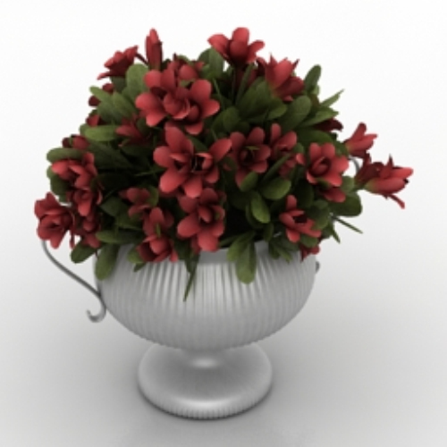 beautiful model potted flowers