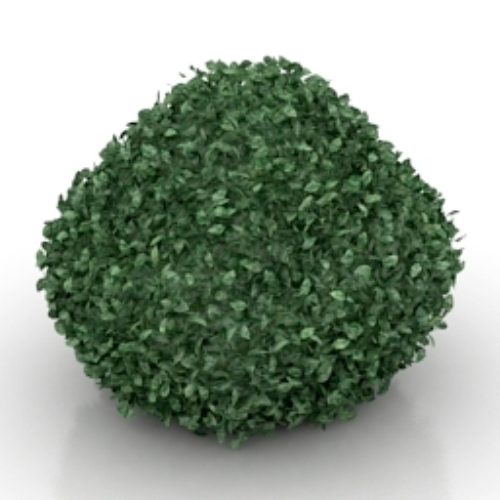 green bush model
