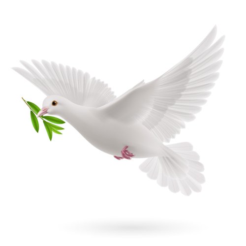 Title dove olive branch vector material