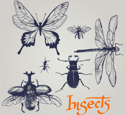 6 hand-painted insect vector material