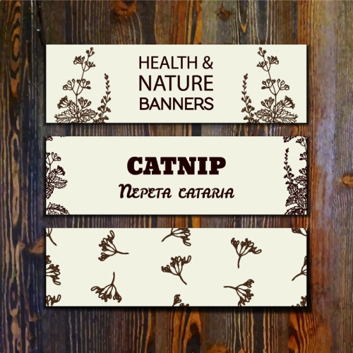 3 painted catnip banner vector material